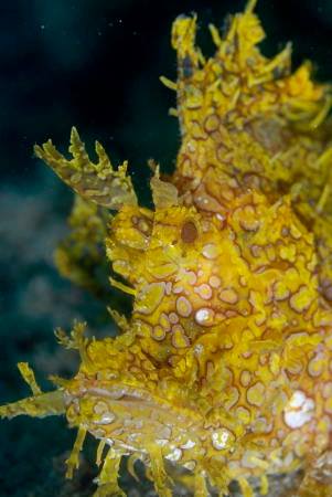 �����@��l